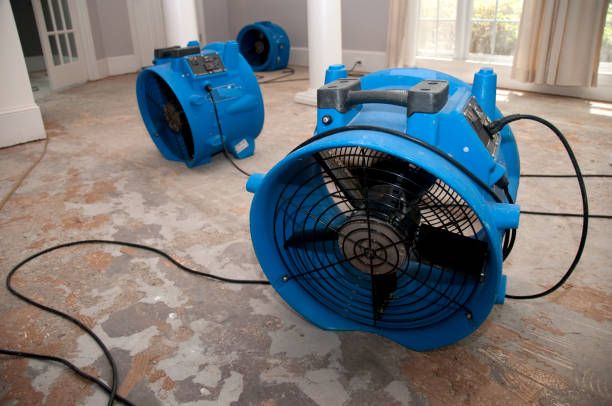 Best Flood restoration services  in Manchester Center, VT